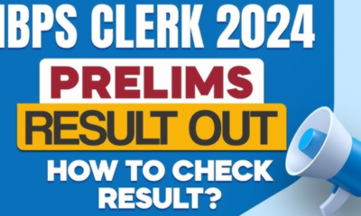 ibps clerk result 2024